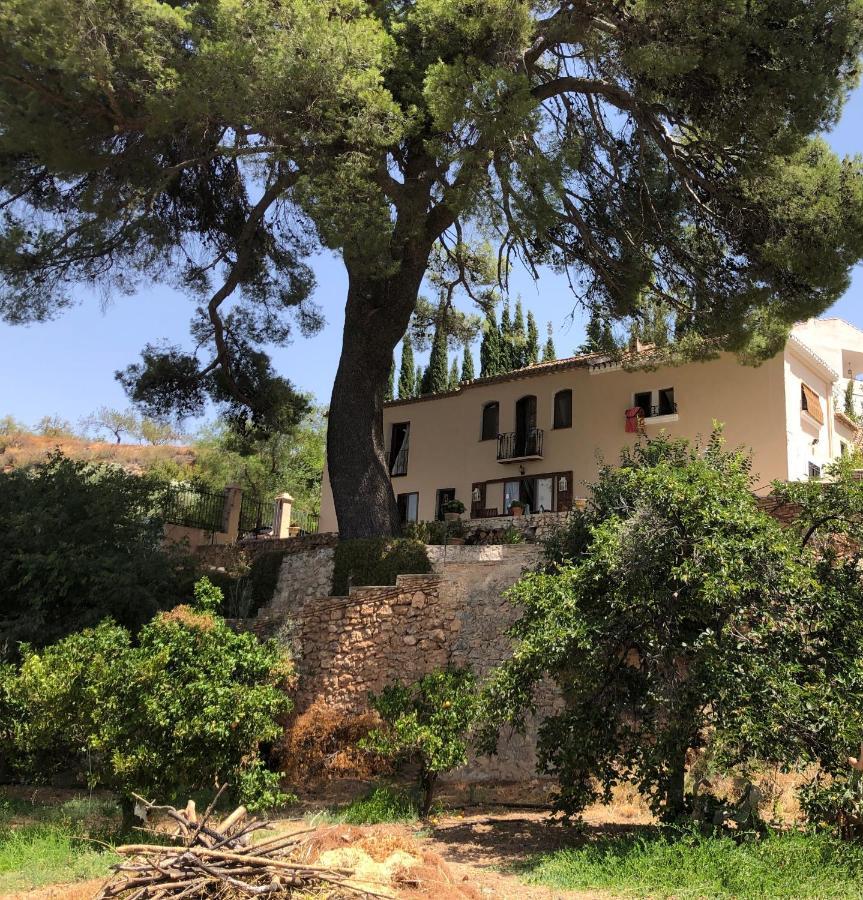 Cortijo El Pino Retreat Bed & Breakfast Albunuelas Exterior photo