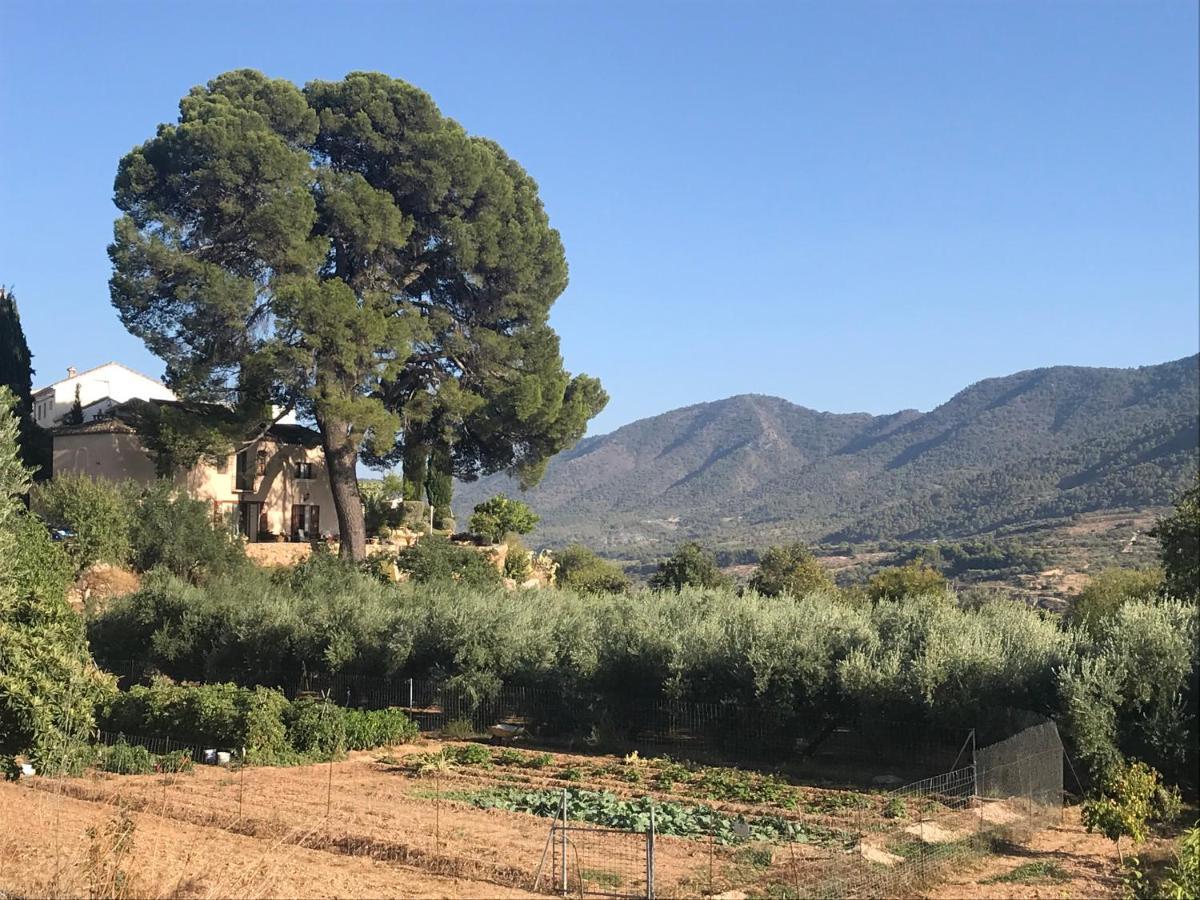 Cortijo El Pino Retreat Bed & Breakfast Albunuelas Exterior photo