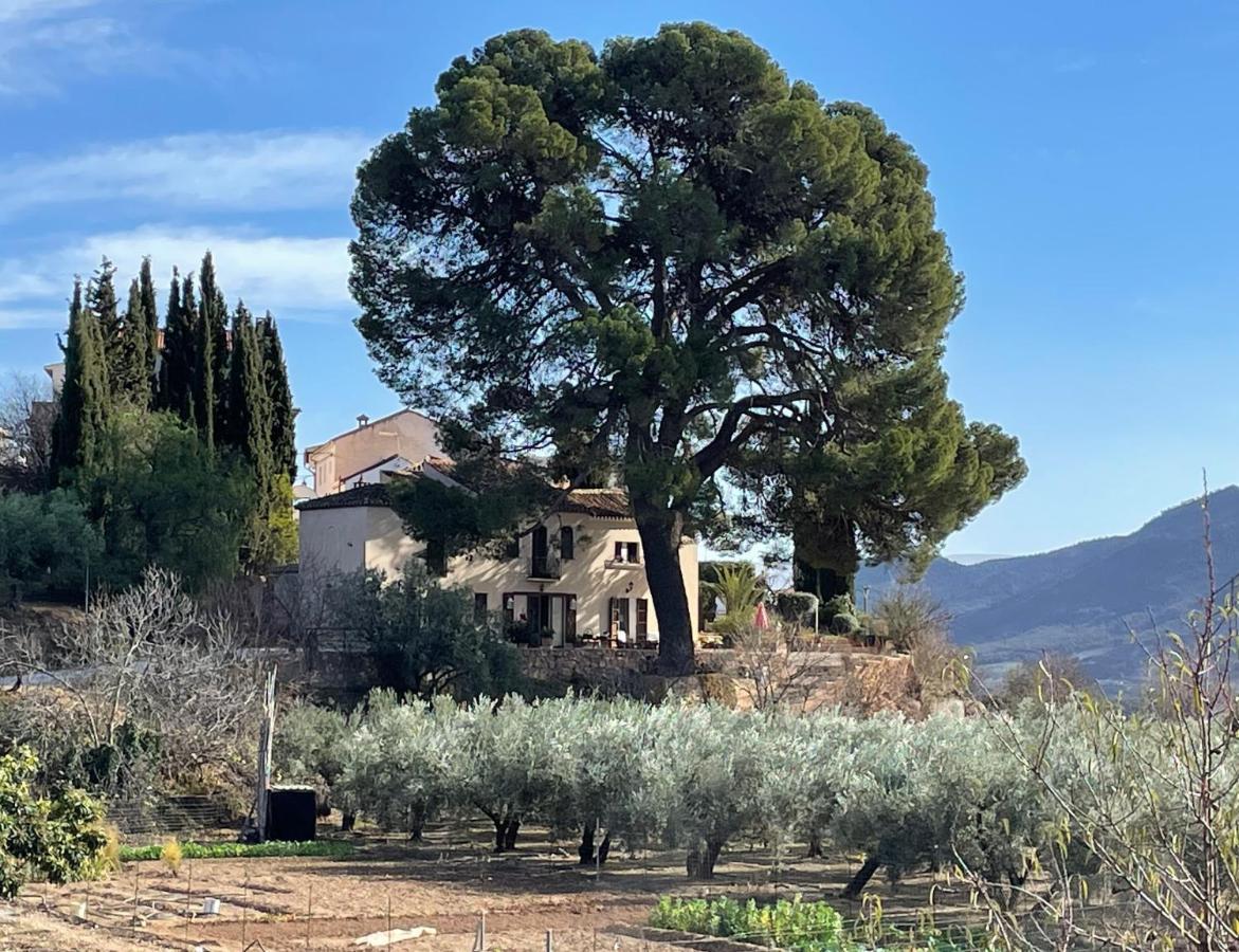 Cortijo El Pino Retreat Bed & Breakfast Albunuelas Exterior photo