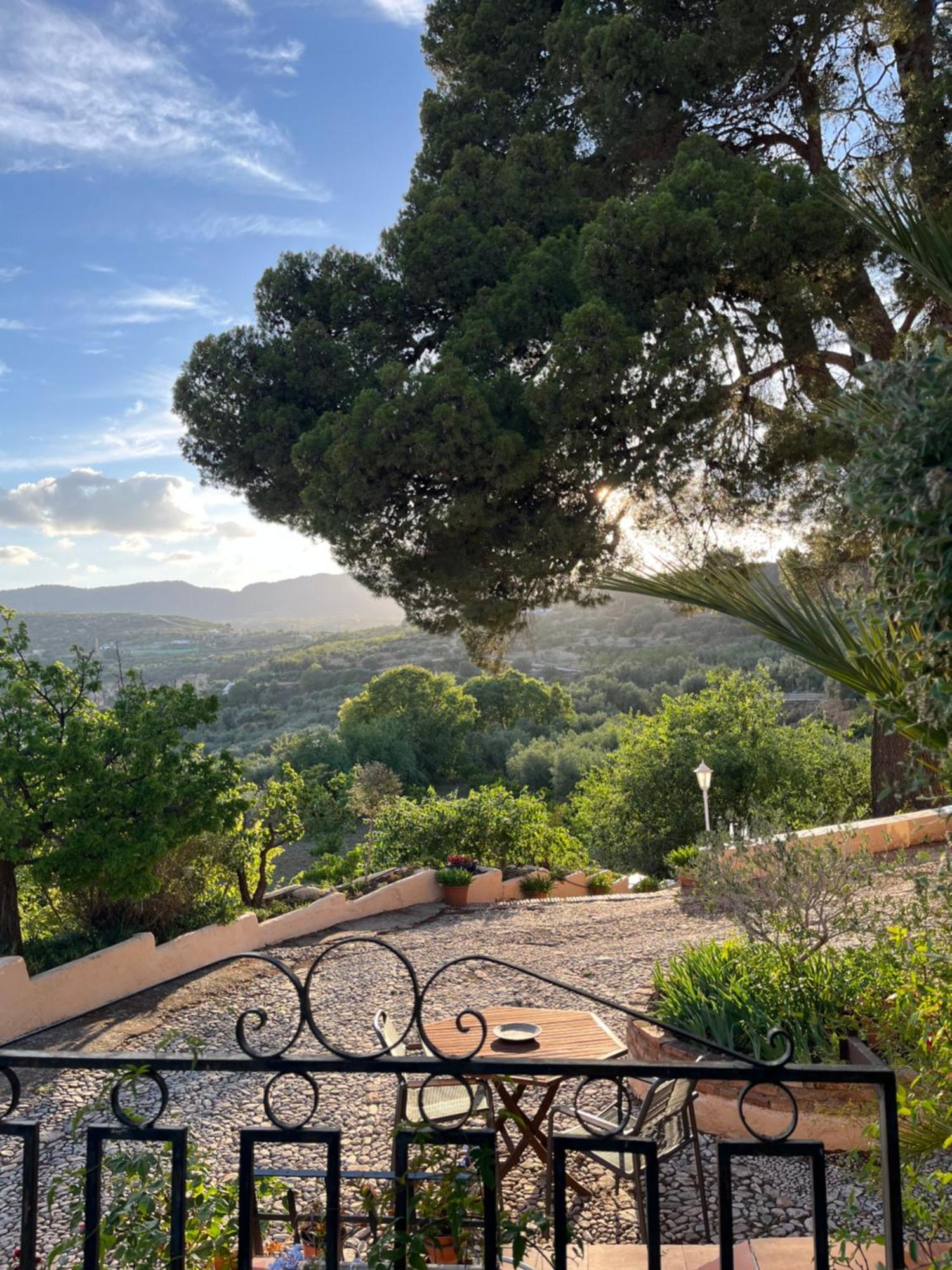 Cortijo El Pino Retreat Bed & Breakfast Albunuelas Exterior photo